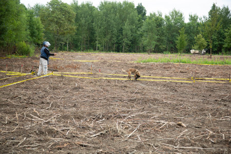 Unidentified farmer and his dog in a field of wheat.の写真素材