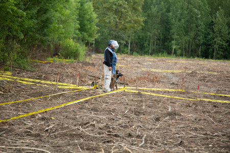 A man in a protective mask and a respirator examines the forest after a forest fire.の写真素材