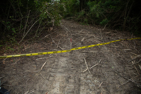 Rural road in the forest with a yellow caution tape on the groundの写真素材