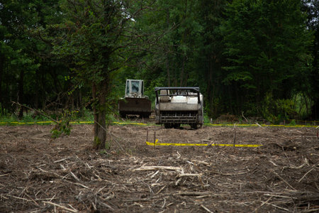 Abandoned car on the road in the forest. Dump truck.の写真素材
