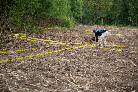 A man and a dog are in an outdoor area with yellow tape and dried grass.の写真素材