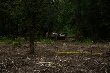 Rear view of a tractor in the middle of a forest.の写真素材