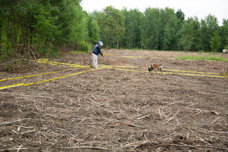 Man and dog walking in the field of cut trees. Selective focus.の写真素材
