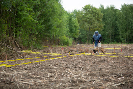 Rear view of a man training a dog in a forest.の写真素材
