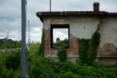 Old brick wall with a window and a green plant in the foregroundの写真素材