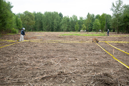 People are cutting trees in the field for planting in the countryside.の写真素材