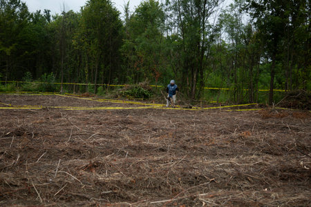 Rear view of a man running through dry grass in a forestの写真素材