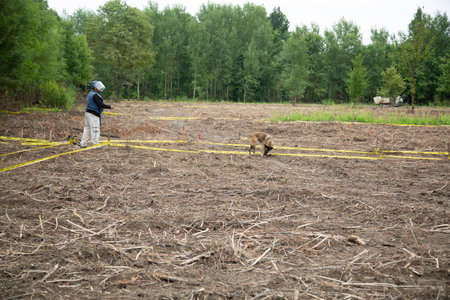 Ukrainian farmer in the field with his dogの写真素材