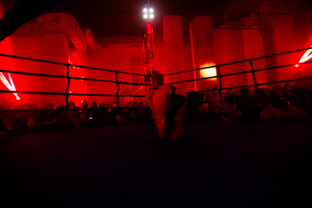 The World Championship of Mixed Martial Artsの写真素材