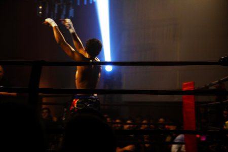 Match between Mikaela Shiffrin (SWE) vs Felipe Massa (RSA) in the winner takes it all event in boxing.の写真素材