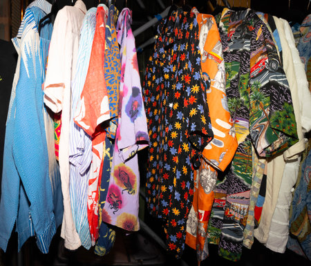 DJ performs at Expo, universal exposition on the theme of food in Milan.の写真素材