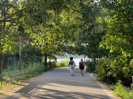 Couple walking in the park on a sunny day, back view
