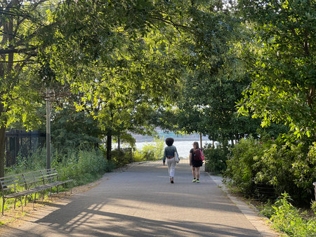 People walking on the road in the park. Back view of two men and a woman walking along the path.の写真素材