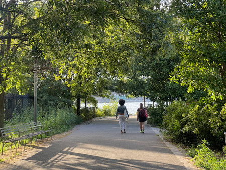 Two people walking along a path in a public park with trees in the backgroundの写真素材