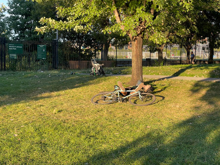 Bicycle parked under a tree in the park on a sunny dayの写真素材