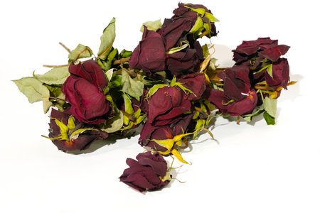 Dried roses on a white background. Bouquet of dried rosesの写真素材
