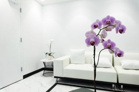 Purple orchid flower in modern living room interior - Vintage Light Filterの写真素材
