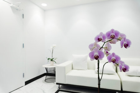 White sofa and purple orchids in the modern living room.の写真素材
