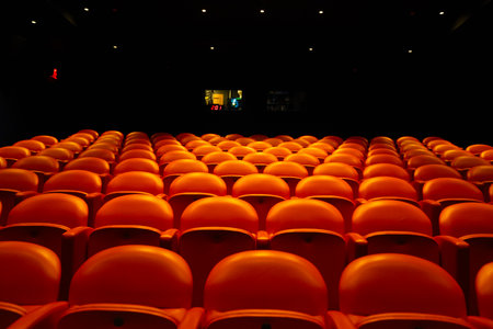 Empty seats in the auditorium of the theater or cinema, cinema