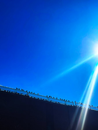 Sunlight and birds on the roof of a building with a blue skyの写真素材