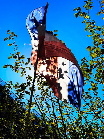 Flag of the United States of America waving in the blue sky.の写真素材