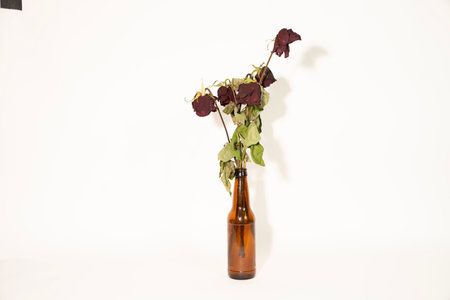 Dried roses in a vase on a white background, isolateの写真素材