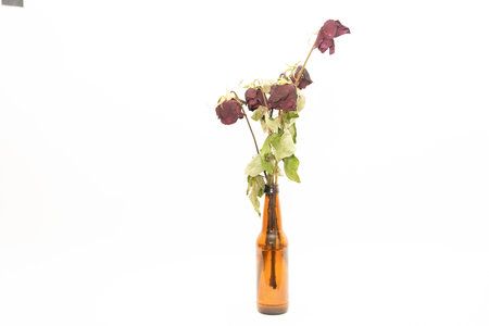 Dried roses in a bottle on a white background.の写真素材