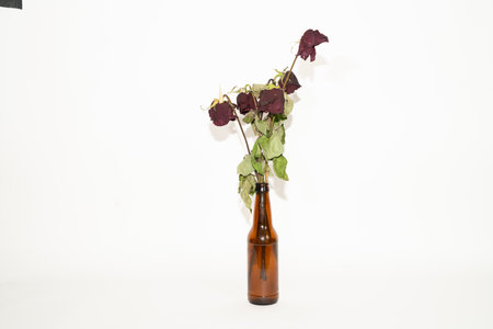 Dried rose in a brown bottle on a white background, isolatedの写真素材