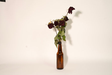 Dried roses in a brown bottle on a white background, isolateの写真素材