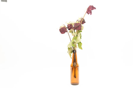 Dried roses in a glass bottle on a white background, isolatedの写真素材