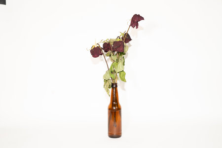 Dried roses in a brown bottle on a white background, isolatedの写真素材