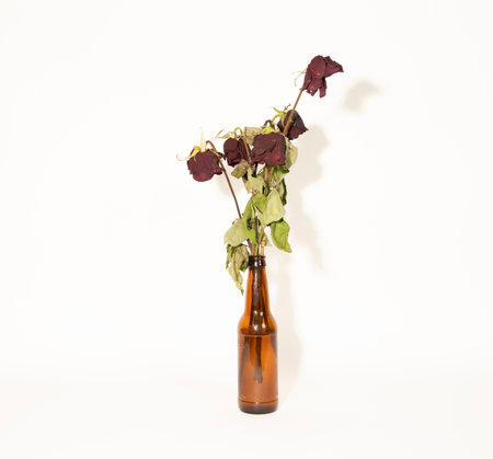 Dried roses in a brown bottle on a white background, isolateの写真素材