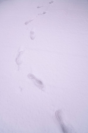 Footprints in the snow. Footprints in the snow. Footprints in the snow.