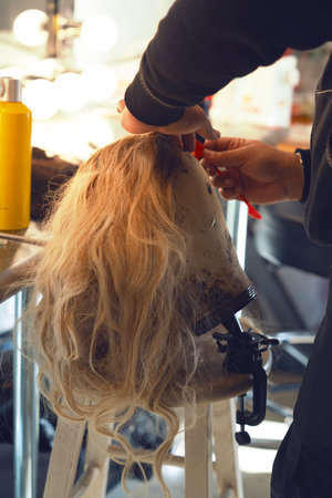 Hairdresser cutting hairの写真素材