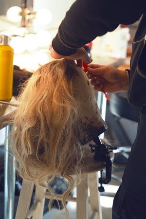 Hairdresser cutting hair of a girl in a beauty salon