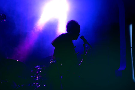 The Hip-hop-Band Antilopen is performing on the HÃƒÂ¶rn Stage
