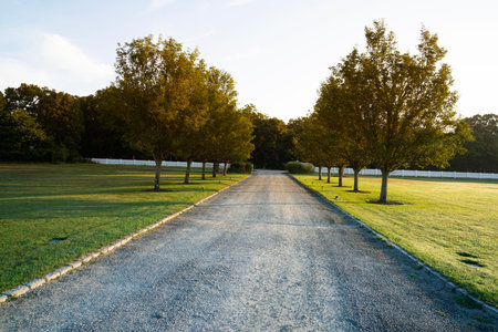Empty asphalt road in the park with trees and grass at sunset.