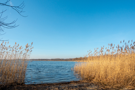 the shore of a lake at duskの写真素材