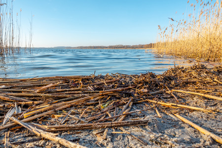 the shore of a lake at duskの写真素材