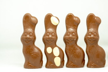 Chocolate Easter bunnyの写真素材