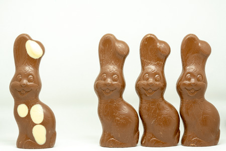 Chocolate Easter bunnyの写真素材