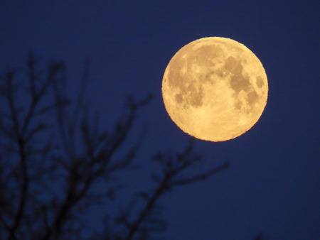a yellow full moon in the morning skyの写真素材