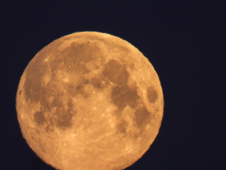 a yellow full moon in the morning skyの写真素材