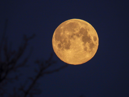a yellow full moon in the morning skyの写真素材