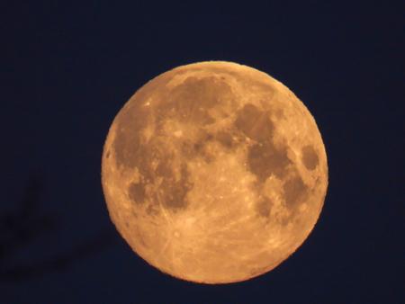 a yellow full moon in the morning skyの写真素材