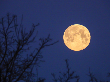 a yellow full moon in the morning skyの写真素材