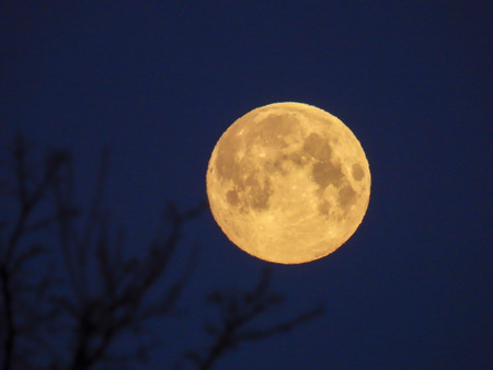 a yellow full moon in the morning skyの写真素材