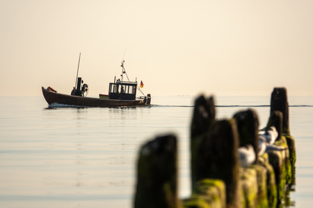 a fishing boat goes out to sea early in the morning when the sea is calmの写真素材