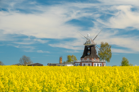 an old windmill stands on a canola fieldの写真素材
