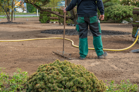 rolled turf is laid on a company siteの写真素材